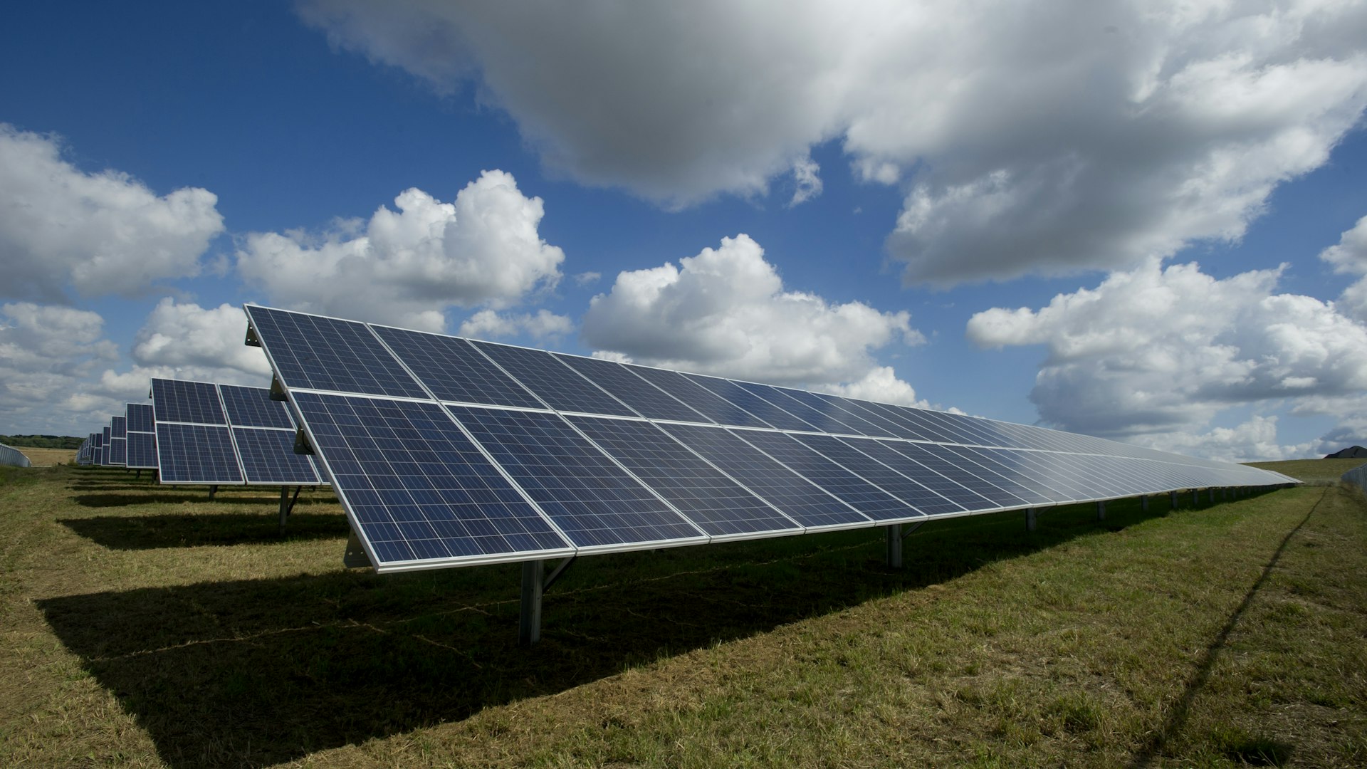 Solar panels on a Dutch field in morning light